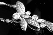 images/album/pearlset.jpg